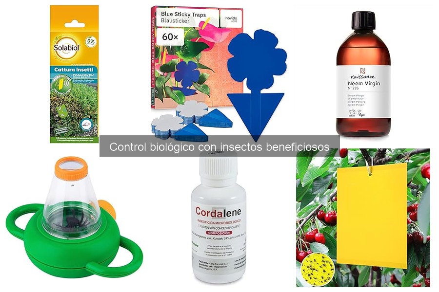 Guía para elegir insectos beneficiosos en tu jardín