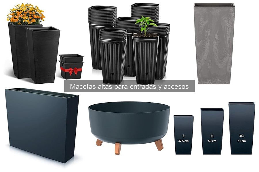 Guía para elegir la maceta alta adecuada según planta