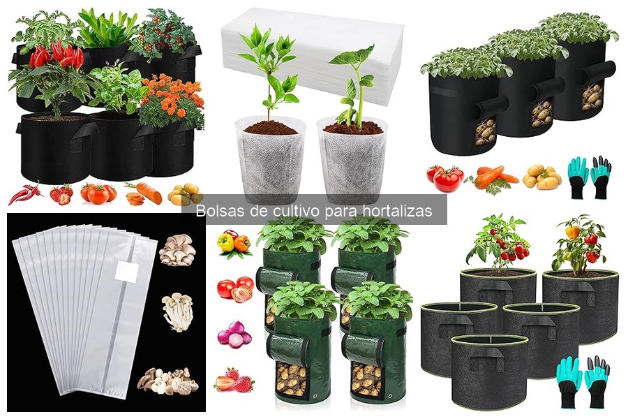 Guía para elegir la mejor bolsa de cultivo para hortalizas