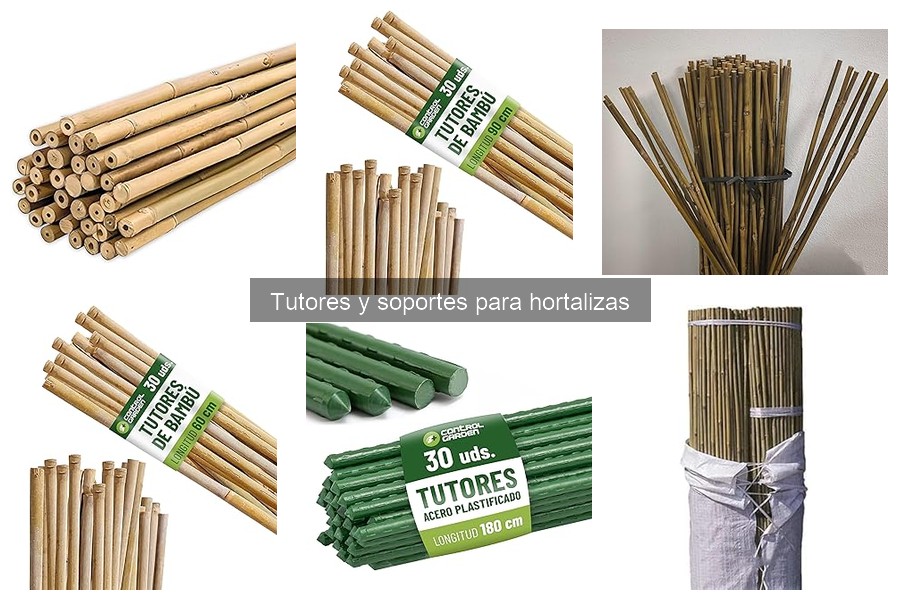 Guía para Instalar Tutores en Hortalizas Efectivamente