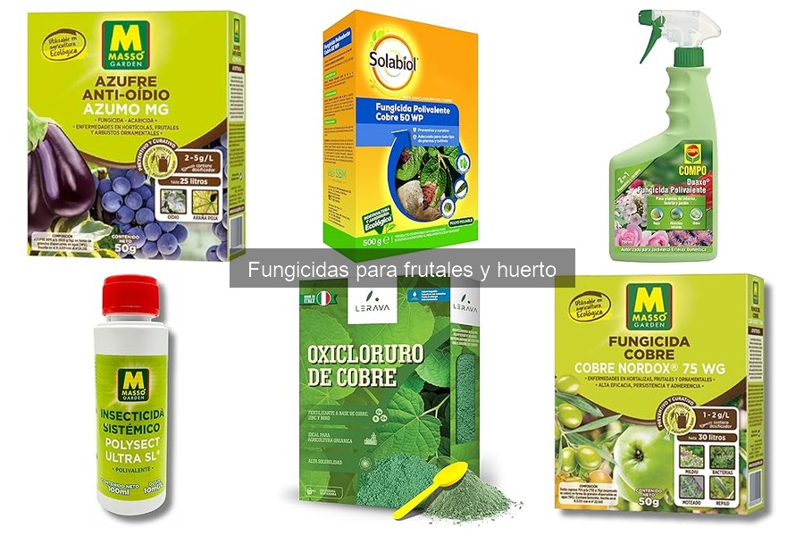 Guía para leer la etiqueta de fungicidas para frutales