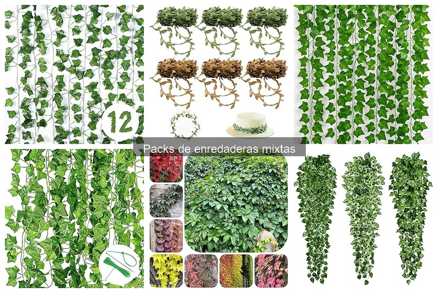 Guía para plantar y cuidar enredaderas mixtas en tu jardín