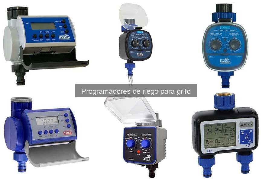 Guía para Programar el Riego según las Necesidades de tu Jardín