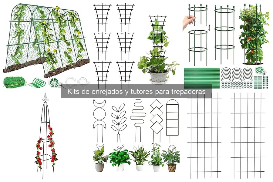 Guía sobre kits de enrejados y tutores para trepadoras