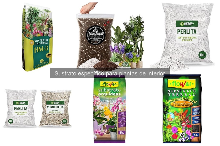 Haz tu propio sustrato para plantas de interior fácilmente