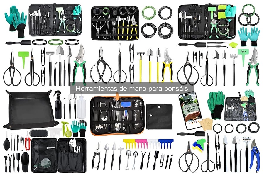 Herramientas Esenciales para Cuidar Bonsáis: Guía Completa
