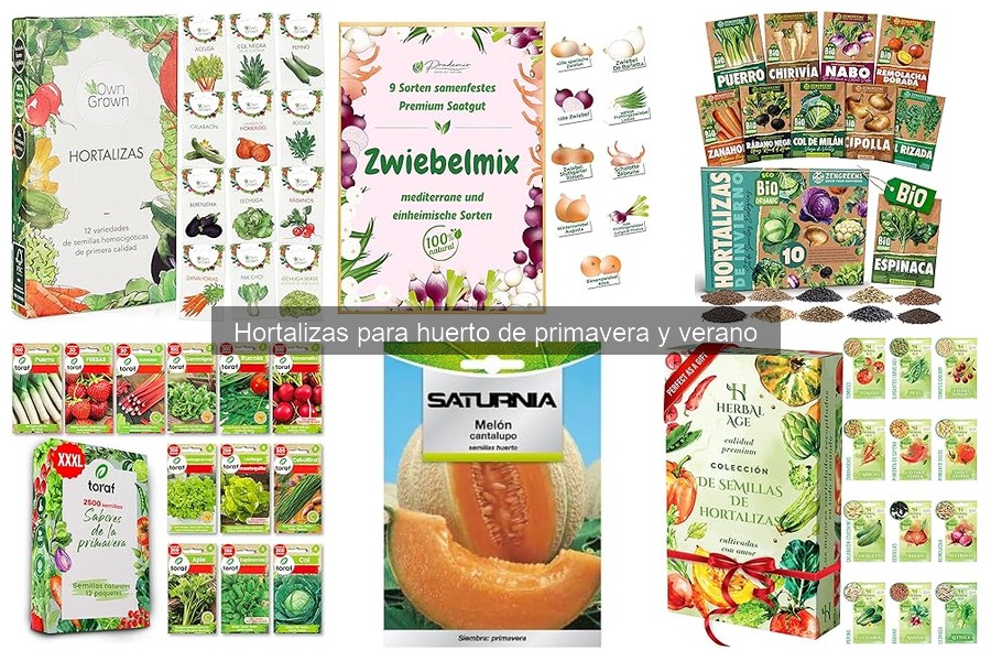 Hortalizas ideales para cultivar en macetas pequeñas