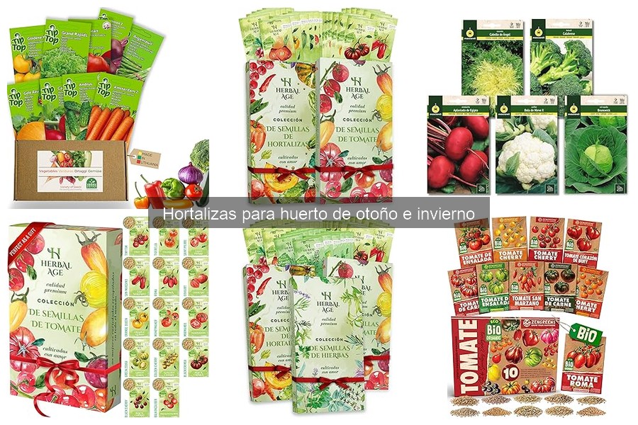 Hortalizas ideales para cultivar en otoño e invierno