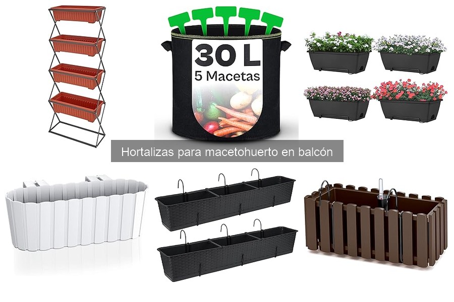 Hortalizas para macetohuerto: Guía de Cultivo en Balcón