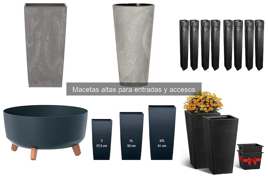 Ideas creativas con macetas altas para entradas y accesos