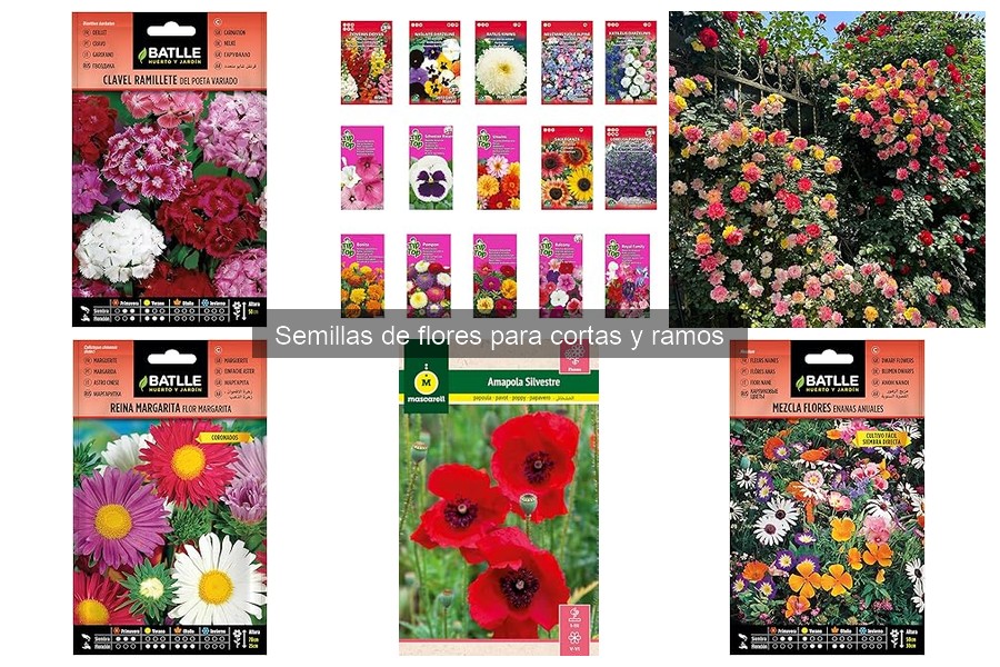 Ideas creativas para arreglos florales con flores de jardín