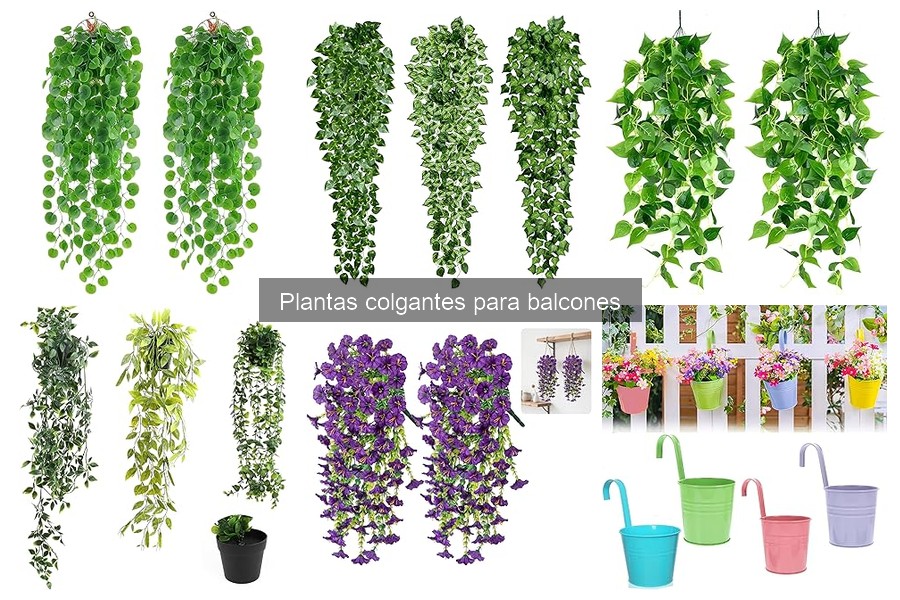 Ideas creativas para decorar balcones con plantas colgantes