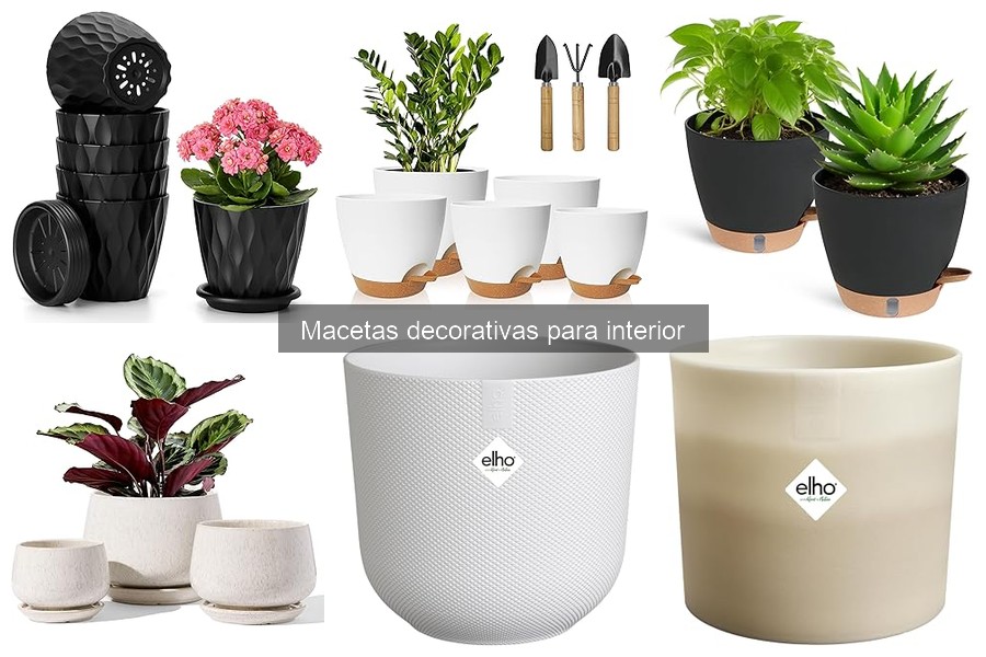 Ideas creativas para decorar macetas en interiores