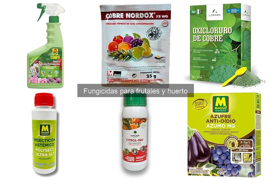 Identifica los hongos más comunes en frutales fácilmente