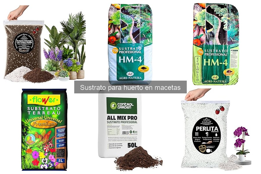 Impacto del pH del sustrato en el crecimiento de plantas