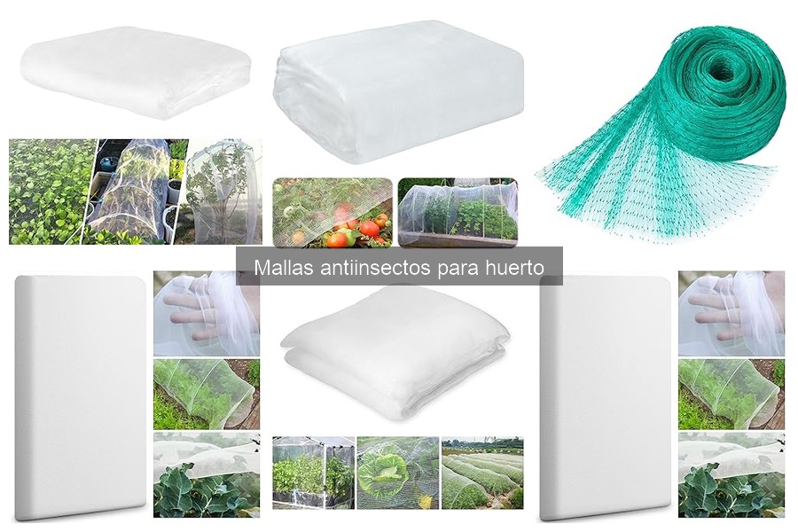 Incentivos para comprar mallas antiinsectos en tu huerto