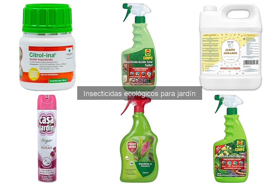 Insecticidas Ecológicos Más Efectivos para Plantas Ornamentales