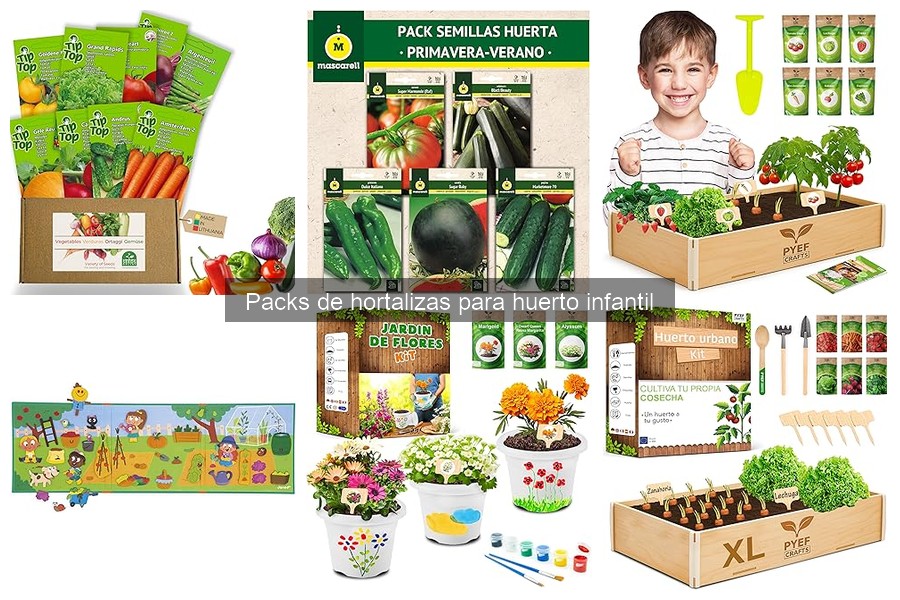 Instrucciones para plantar un pack de hortalizas en el huerto infantil