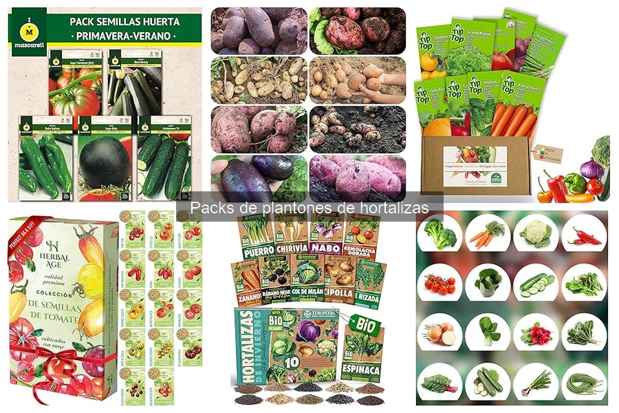 Instrucciones para plantar y cuidar plantones de hortalizas