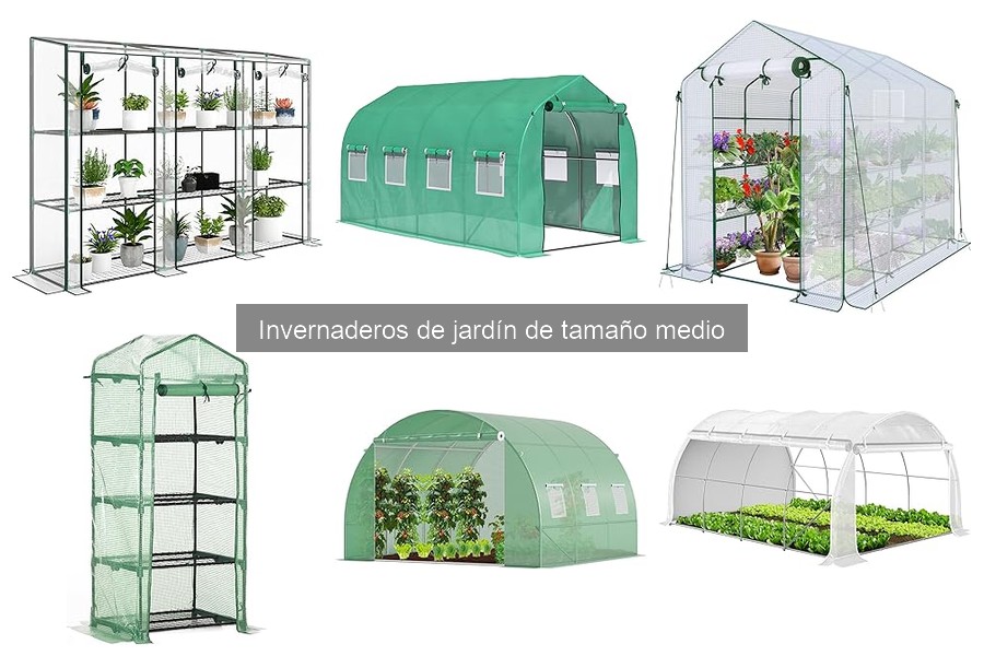 Invernaderos de jardín de tamaño medio: definición y ventajas