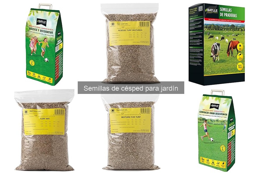 La Mejor Época para Sembrar Césped en tu Jardín