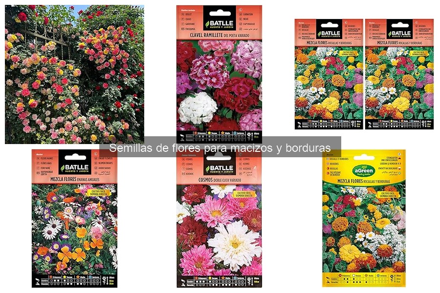 Las 5 flores más fáciles de cultivar a partir de semillas