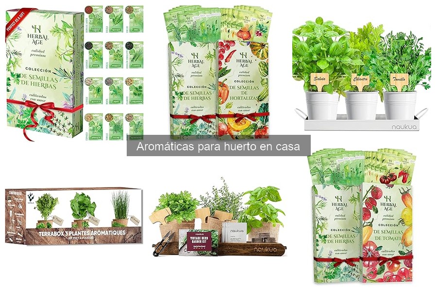 Las hierbas aromáticas más resistentes a plagas para tu huerto