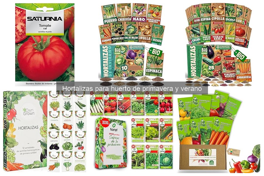 Las hortalizas más fáciles de cultivar en primavera y verano