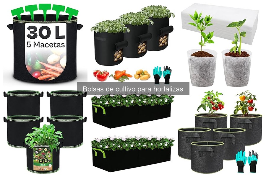 Las mejores bolsas de cultivo para hortalizas en 2023