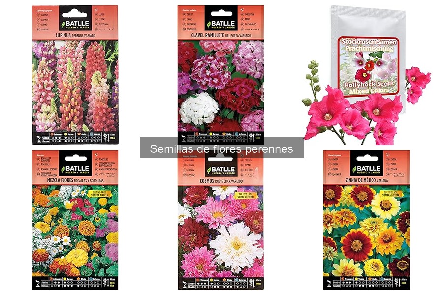 Las mejores flores perennes para climas cálidos