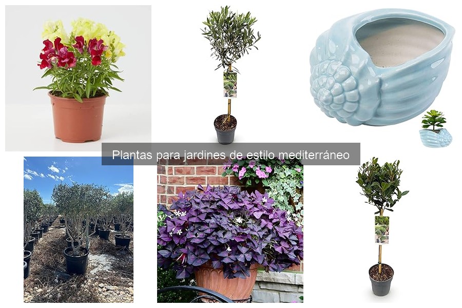 Las mejores plantas mediterráneas para atraer polinizadores