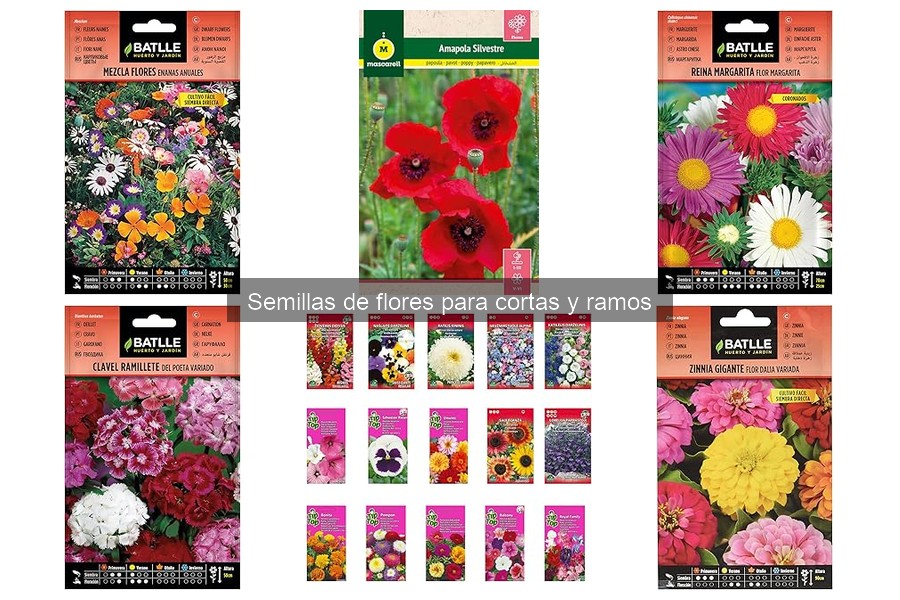 Las mejores semillas de flores para ramos decorativos