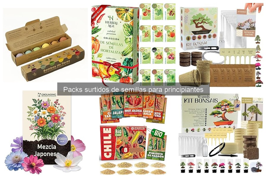 Las mejores semillas para principiantes en jardinería