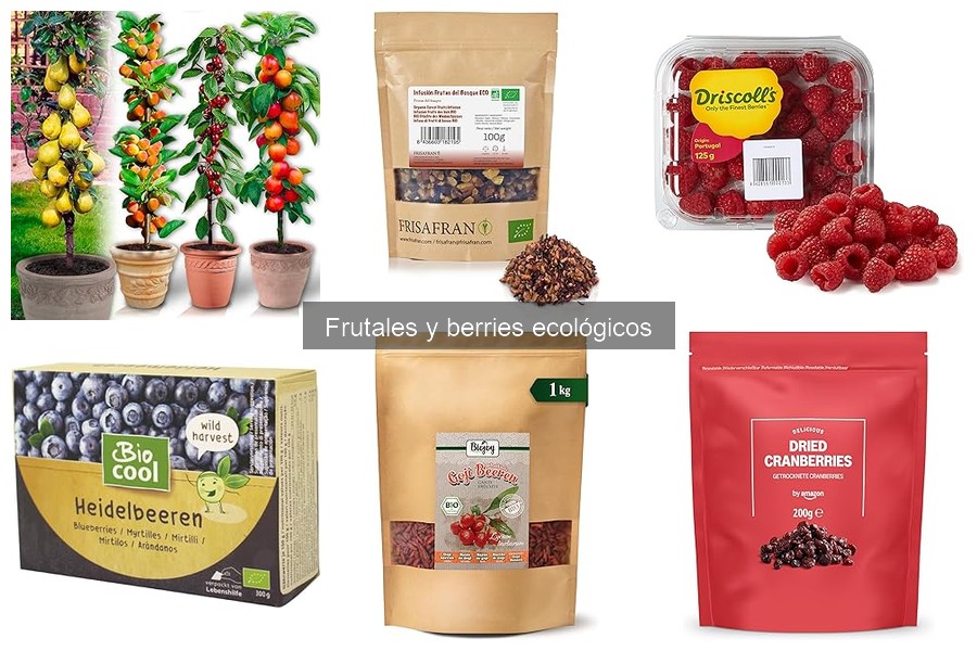 Los berries más fáciles de cultivar en casa