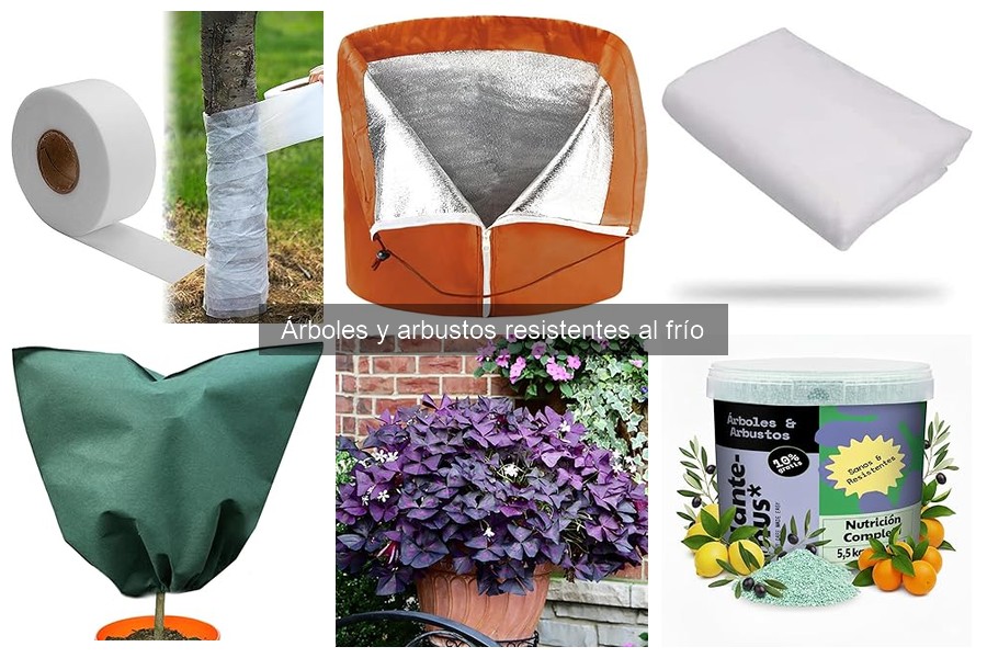 Los mejores arbustos para diseñar jardines en climas fríos