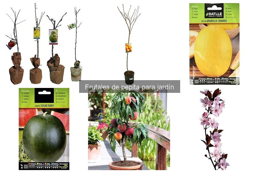 Los mejores fertilizantes para frutales de pepita en tu jardín