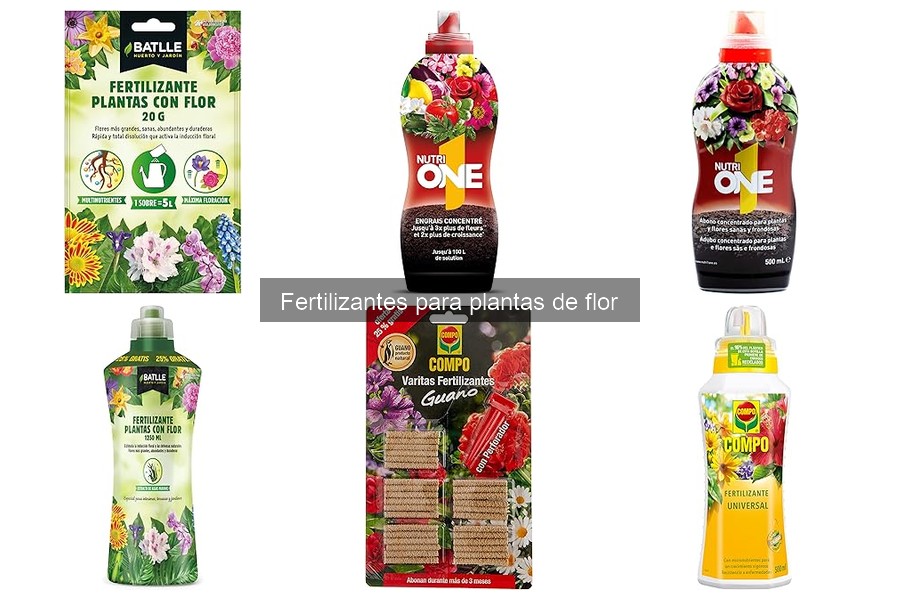 Los mejores fertilizantes para la floración de tus plantas