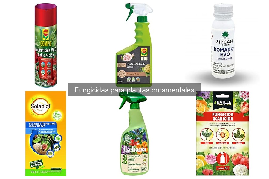 Los mejores fungicidas para plantas ornamentales específicas