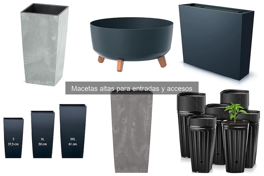 Macetas altas a buen precio: dónde comprarlas online y físico