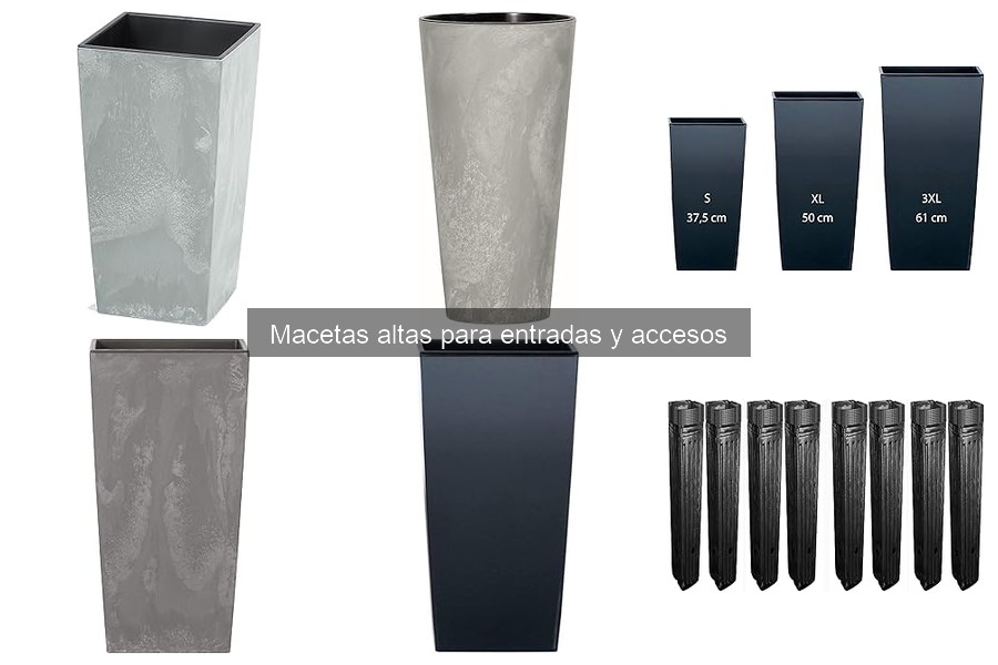 Macetas Altas: Características y Usos en Entradas y Accesos