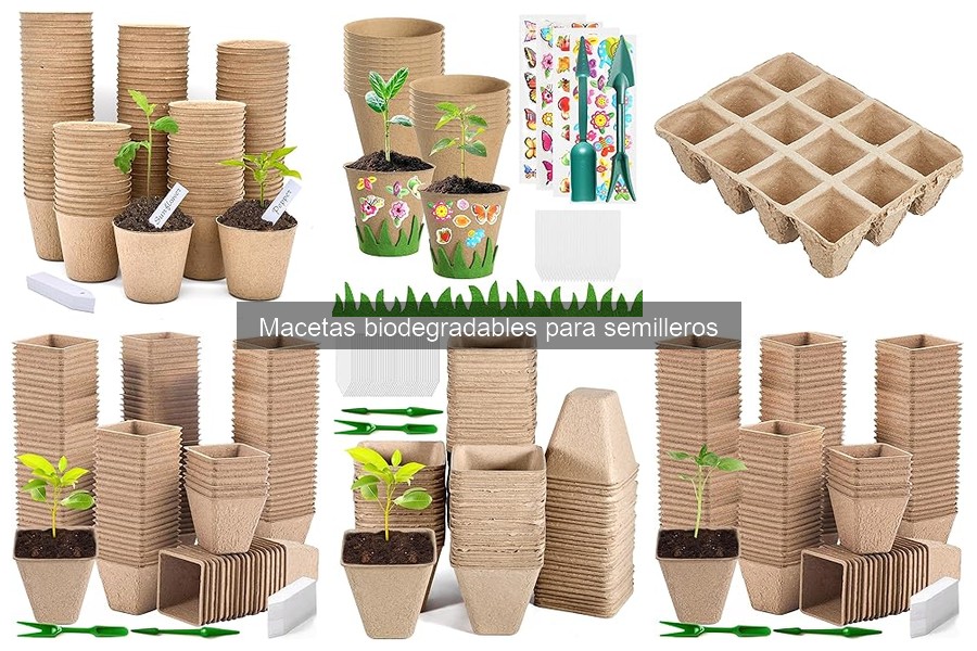 Macetas Biodegradables para Semilleros: Beneficios y Materiales