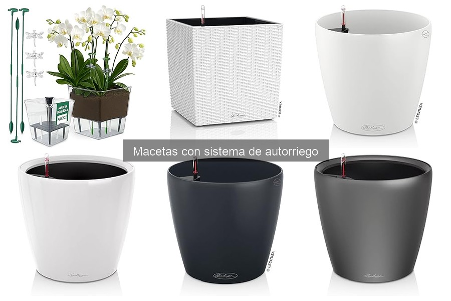 Macetas con autorriego: ¿Son adecuadas para todas las plantas?