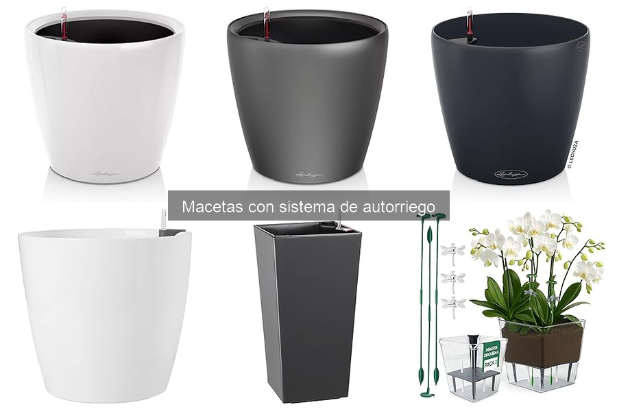Macetas con Sistema de Autorriego: ¿Qué son y cómo funcionan?