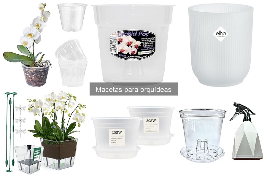 Macetas ideales para orquídeas: características clave