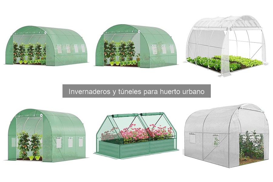 Mantenimiento básico de invernaderos: consejos útiles