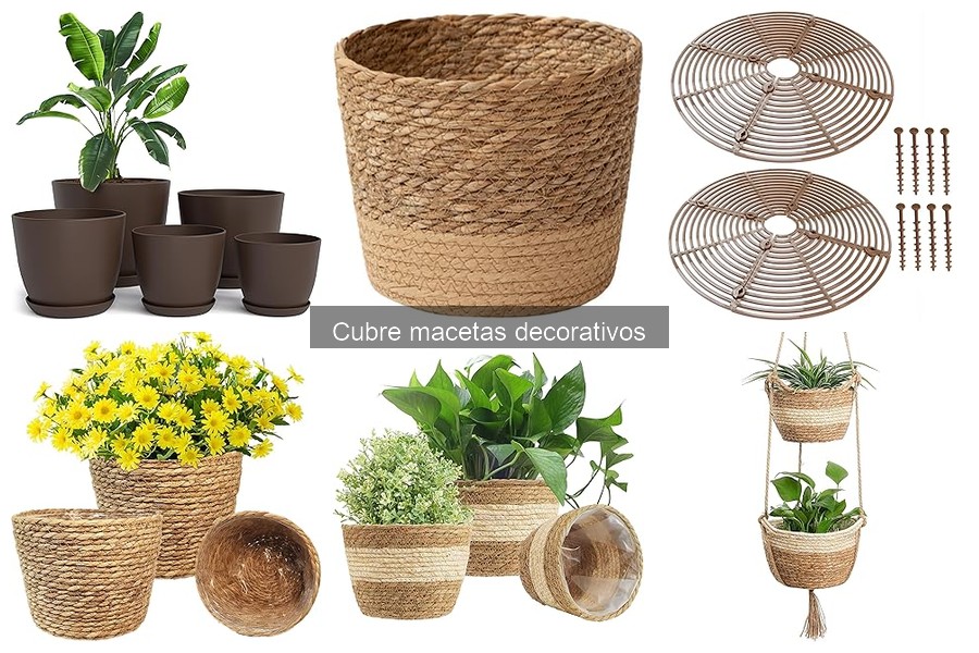 Mantenimiento de cubre macetas decorativos: Guía práctica
