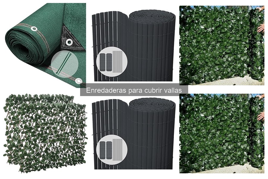 Mantenimiento de enredaderas en vallas: consejos clave