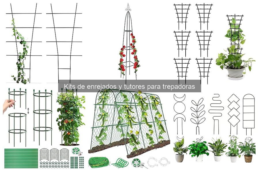 Mantenimiento de enrejados y tutores para trepadoras