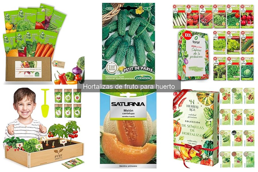 Mantenimiento de Hortalizas de Fruto: Riego y Fertilización