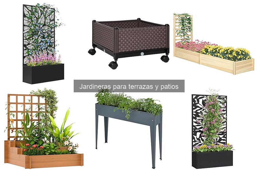 Mantenimiento de jardineras en exteriores: consejos y cuidados